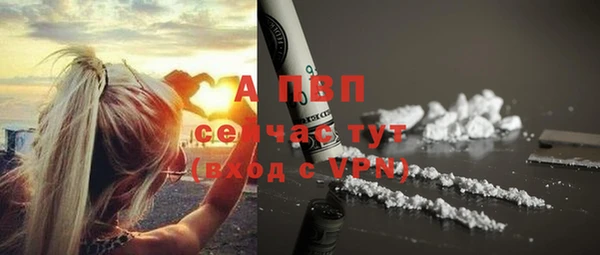 кокс Пестово